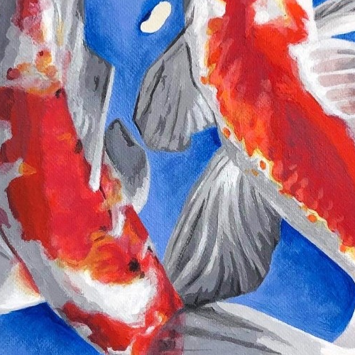 Watercolour of two Koi fish encircling one another, with a blue water splash behind.